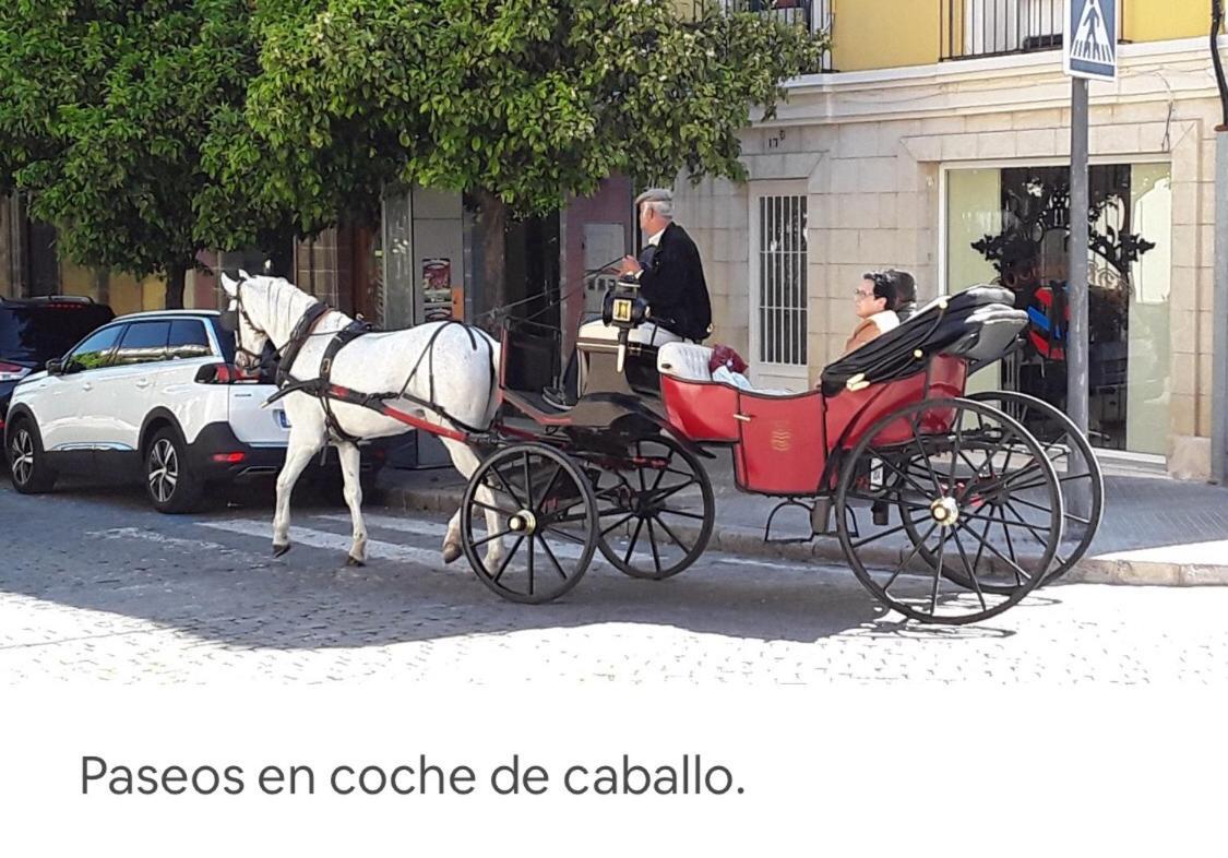 Apartamento Centro Ciudad Jerez de la Frontera Dış mekan fotoğraf